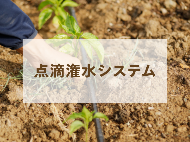 農業用 点滴潅水システム 点滴チューブ