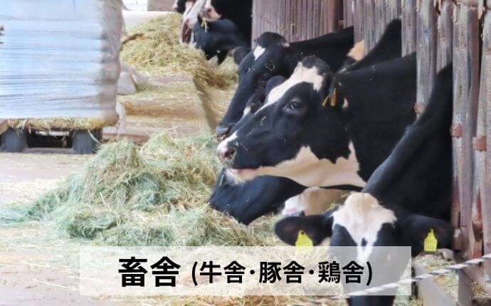 畜舎
