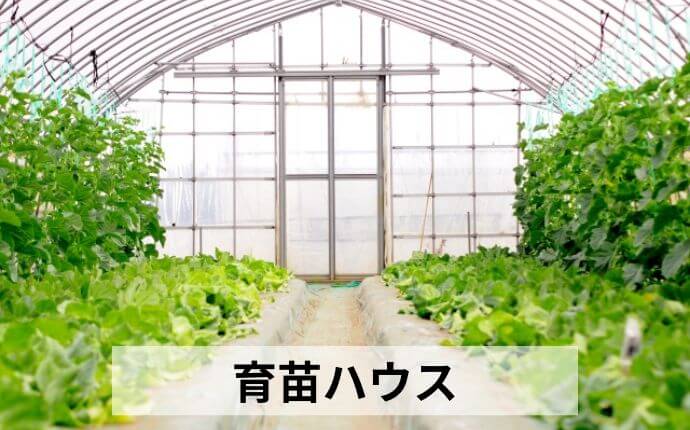 育苗ハウス