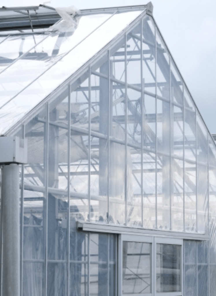 ビニールパイプハウス
