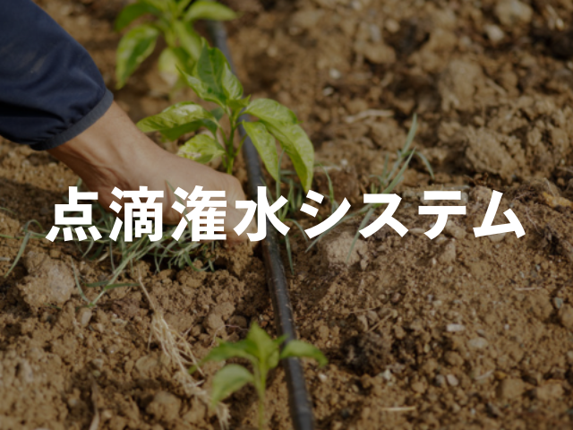 農業用 点滴潅水システム 点滴チューブ 自動潅水 