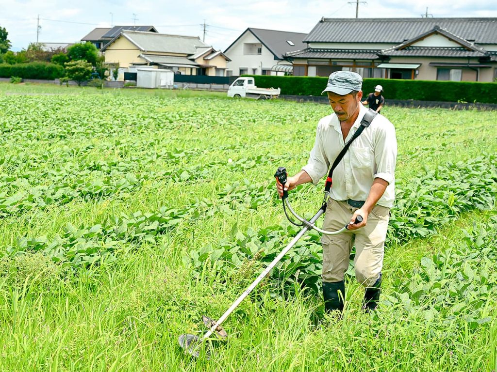 アースグリーンファーム